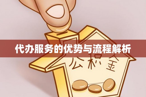 益阳代办服务的优势与流程解析