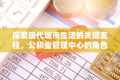 益阳探索现代城市生活的关键支柱，公积金管理中心的角色与影响