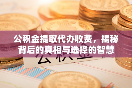 益阳公积金提取代办收费，揭秘背后的真相与选择的智慧