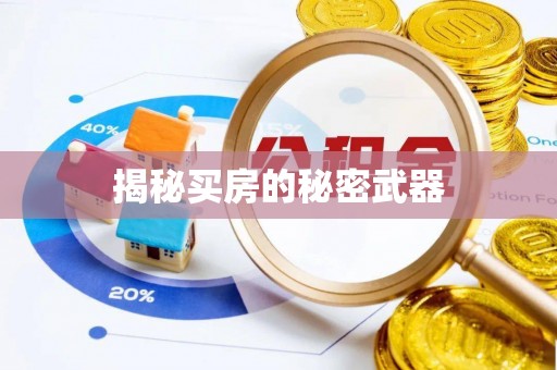 益阳揭秘买房的秘密武器