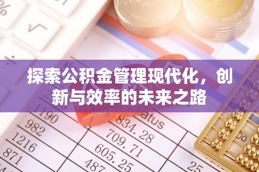 益阳探索公积金管理现代化，创新与效率的未来之路