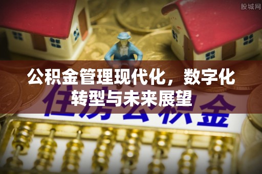 益阳公积金管理现代化，数字化转型与未来展望