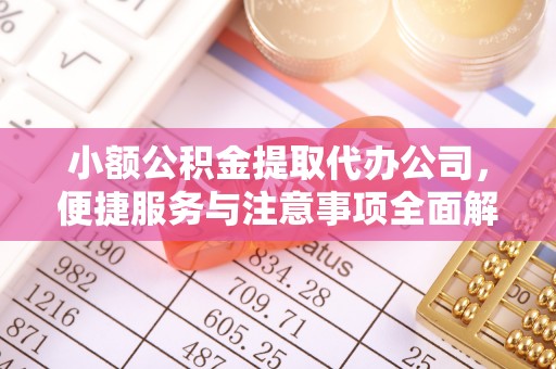 益阳小额公积金提取代办公司，便捷服务与注意事项全面解析