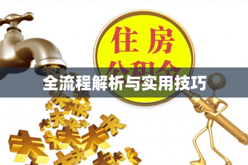 益阳全流程解析与实用技巧