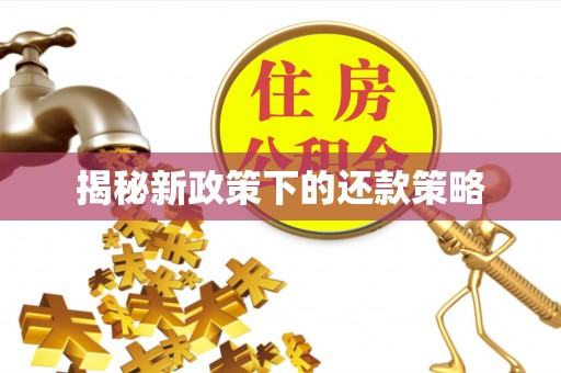益阳揭秘新政策下的还款策略