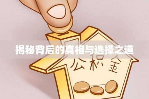 益阳揭秘背后的真相与选择之道