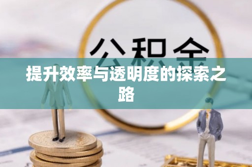 益阳提升效率与透明度的探索之路