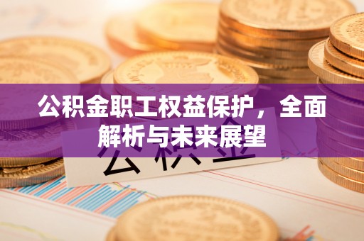 益阳公积金职工权益保护，全面解析与未来展望