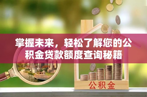 益阳掌握未来，轻松了解您的公积金贷款额度查询秘籍