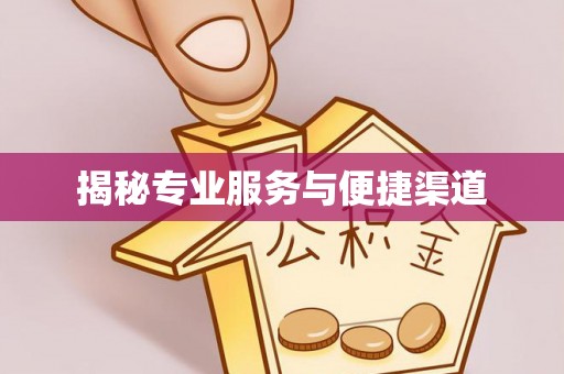 益阳揭秘专业服务与便捷渠道
