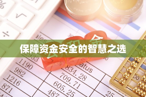 益阳保障资金安全的智慧之选