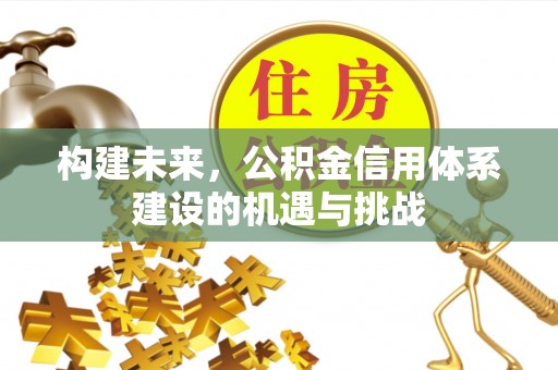 益阳构建未来，公积金信用体系建设的机遇与挑战