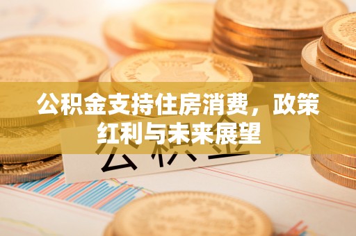 益阳公积金支持住房消费，政策红利与未来展望