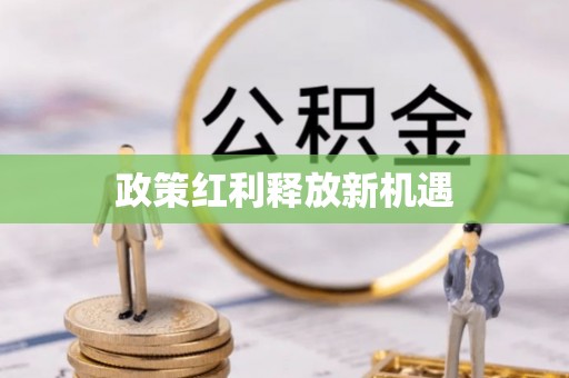 益阳政策红利释放新机遇