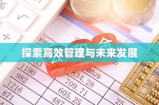 益阳探索高效管理与未来发展
