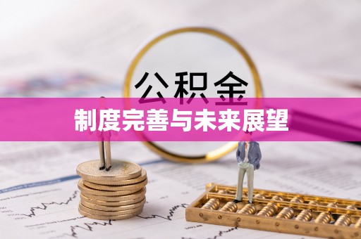 益阳制度完善与未来展望