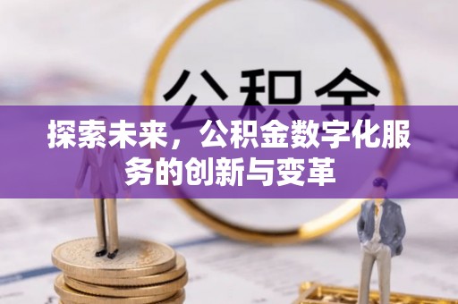 益阳探索未来，公积金数字化服务的创新与变革