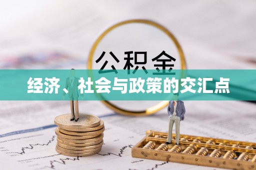 益阳经济、社会与政策的交汇点