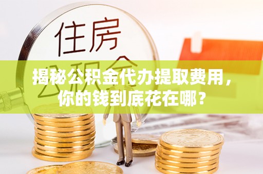 益阳揭秘公积金代办提取费用，你的钱到底花在哪？