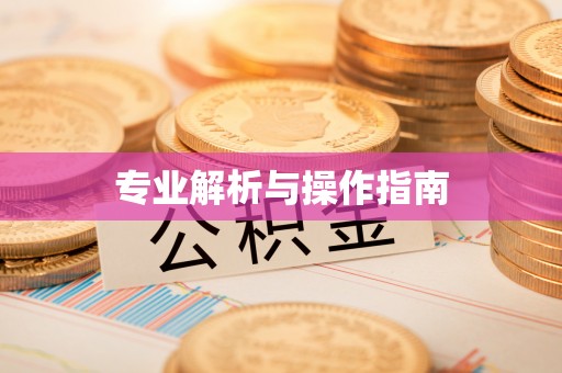 益阳专业解析与操作指南