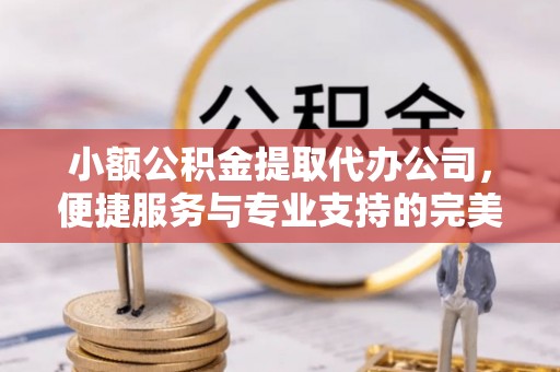 益阳小额公积金提取代办公司，便捷服务与专业支持的完美结合