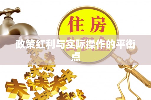 益阳政策红利与实际操作的平衡点