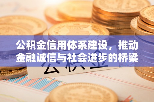 益阳公积金信用体系建设，推动金融诚信与社会进步的桥梁