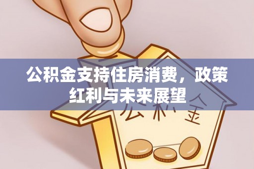 益阳公积金支持住房消费，政策红利与未来展望