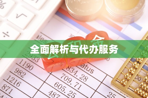 益阳全面解析与代办服务