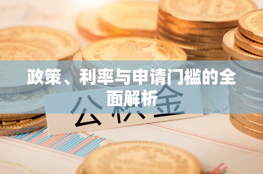 益阳政策、利率与申请门槛的全面解析