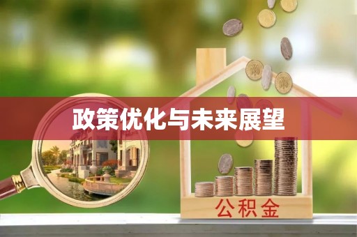 益阳政策优化与未来展望