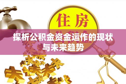 益阳探析公积金资金运作的现状与未来趋势