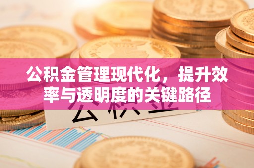 益阳公积金管理现代化，提升效率与透明度的关键路径