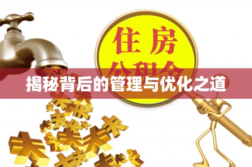 益阳揭秘背后的管理与优化之道