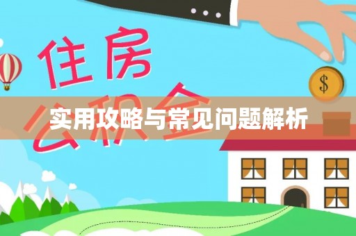 益阳实用攻略与常见问题解析