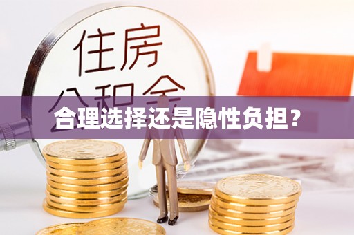 益阳合理选择还是隐性负担？