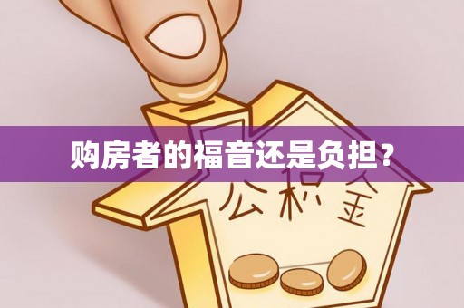 益阳购房者的福音还是负担？