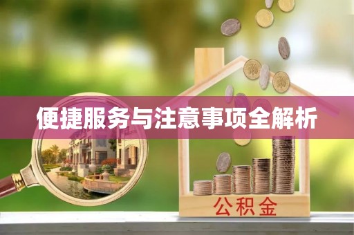 益阳便捷服务与注意事项全解析