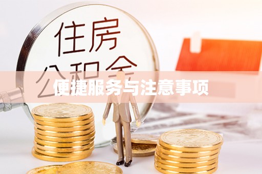 益阳便捷服务与注意事项