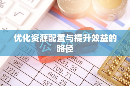 益阳优化资源配置与提升效益的路径