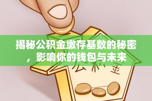 益阳揭秘公积金缴存基数的秘密，影响你的钱包与未来