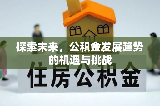 益阳探索未来，公积金发展趋势的机遇与挑战
