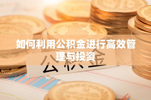 益阳如何利用公积金进行高效管理与投资