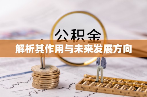 益阳解析其作用与未来发展方向