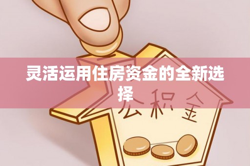益阳灵活运用住房资金的全新选择