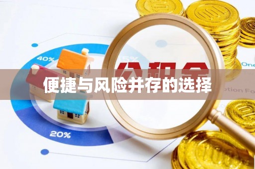 益阳便捷与风险并存的选择