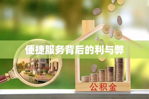 益阳便捷服务背后的利与弊